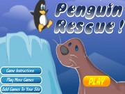 Морской котик спасает пингвинов