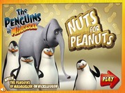 Пингвины из Мадагаскара собирают арахис