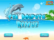 Побег: Спаси дельфина