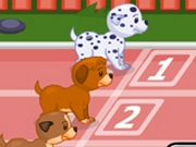 Скоростная гонка щенков