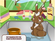 Вымой маленького кролика