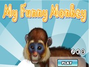 Вымой забавную обезьянку